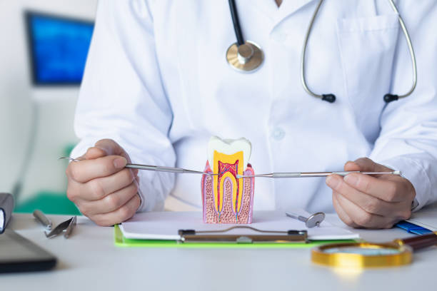 Best Emergency Dental Services for Seniors in Lake Bryan, TX